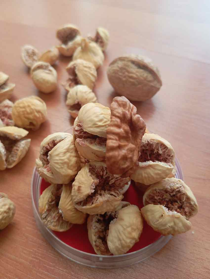 خرید انجیر خشک کیفیت عالی سوپر قیمت ویژه